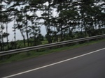 16464IMG_5249.JPG