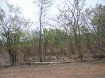 4035RIMG0339.JPG