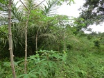 45355CIMG2440.JPG