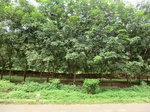 34879CIMG1550.JPG