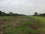 47397CIMG3734.JPG