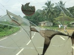 49229CIMG5566.JPG