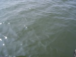 579R0015125.jpg