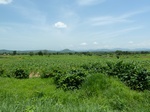 19582P1010429.JPG