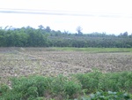 33615RIMG0280.JPG