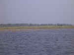 695R0015203.jpg