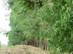 50564CIMG1193.JPG