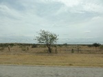 36067DSC02787.JPG