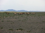 37204CIMG1002.JPG