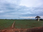 55967CIMG6645.JPG