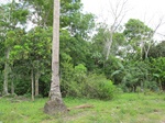 32084IMG_5613.JPG