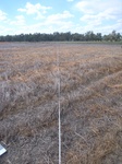 51492Vic005_L4.JPG