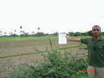 12359003a-irrigationmix(groundwater)-irrigation(supplemental)-rice-cotton.gif