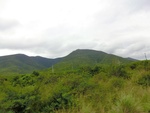 55886CIMG6580.JPG