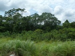 25733P1020151.JPG