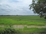 33251IMG_5581.JPG
