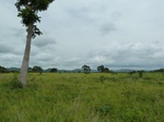 18580P1000417.JPG