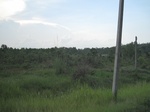 34400IMG_5316.JPG
