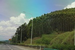 2024-08-05_16-31-25_2BD19D50-9665-4282-921C-10C58F358E1E.jpeg