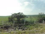 24889DSC01106.JPG