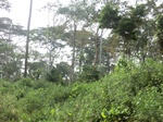 48075CIMG4412.JPG