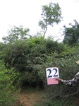 1044123-forest-lowland-young-shrubs-densea.gif