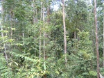 5426251.jpg