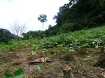 25670P1020087.JPG