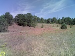 2012-09-02_18-09-53_PICT0009.JPG