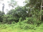 47554CIMG3891.JPG