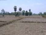 28074RIMG0129.JPG