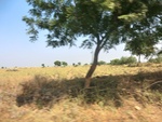 56367CIMG7920.JPG