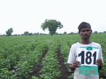 126620181a-rainfed-agriculture-cotton.gif