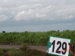 61170129c-irrigated-supplemental-river-water-sugarcane.jpg