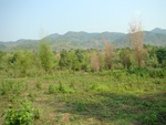 9189DSC04001.JPG