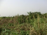 50409CIMG1038.JPG