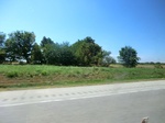 56538CIMG1584.JPG