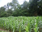33602RIMG0267.JPG