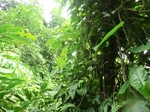 45593CIMG2678.JPG