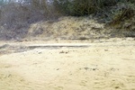28681P1010698-1.JPG