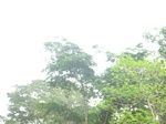 48339CIMG4676.JPG