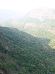 1720720042008(131).JPG