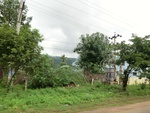 55854CIMG6541.JPG