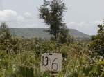 12136GT136_Fallow_zoomed.JPG