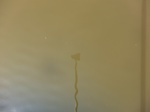 58479CIMG2929.JPG
