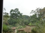 49957CIMG6294.JPG