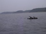 6212007-08-05_11-04-25_small.jpg