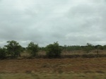 35776DSC02536.JPG