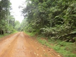 47590CIMG3927.JPG