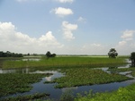 24620DSC00839.JPG